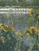 Gustave Caillebotte The sunflowers of waterside Germany oil painting reproduction